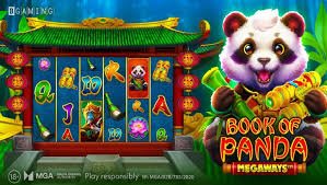 det 5666 content hub showing cricket football and casino style categories
